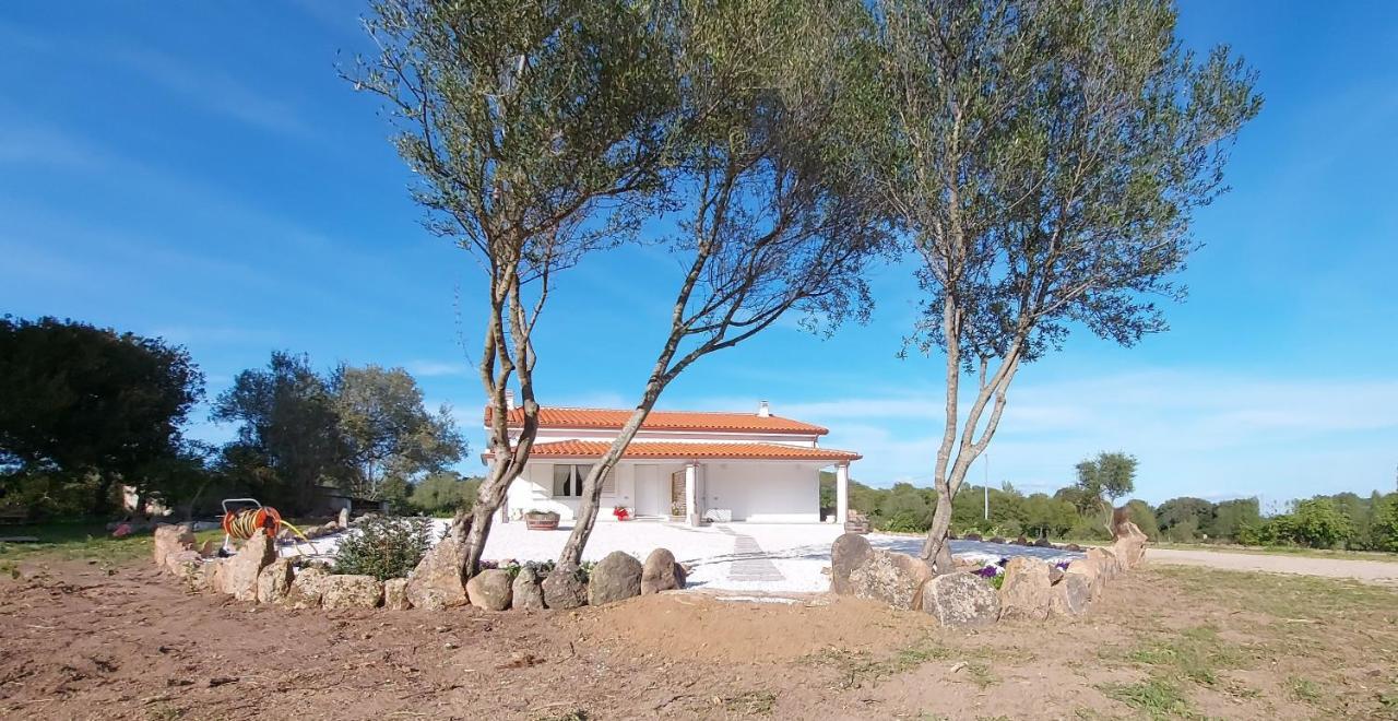 Casa Vacanze Olbia - Alebea - ภายนอก รูปภาพ