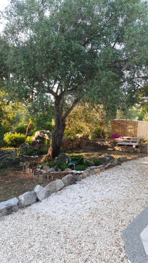 Casa Vacanze Olbia - Alebea - ภายนอก รูปภาพ