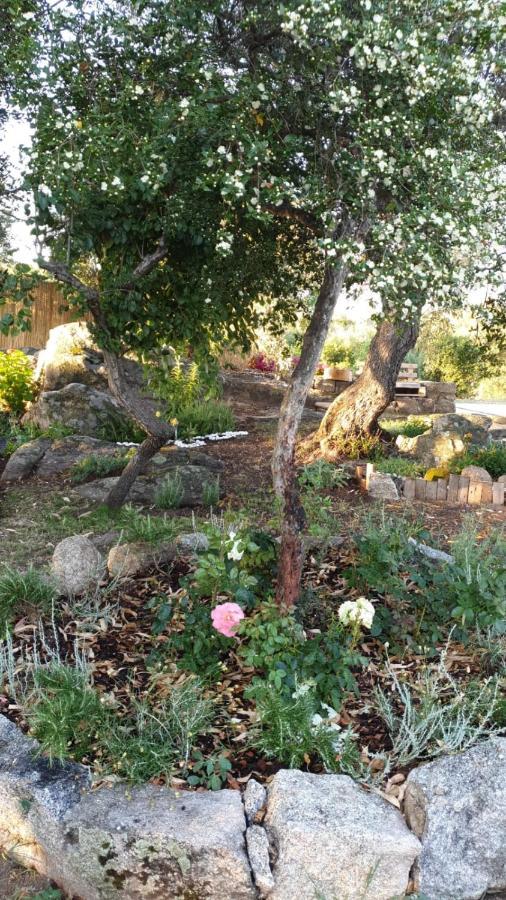 Casa Vacanze Olbia - Alebea - ภายนอก รูปภาพ