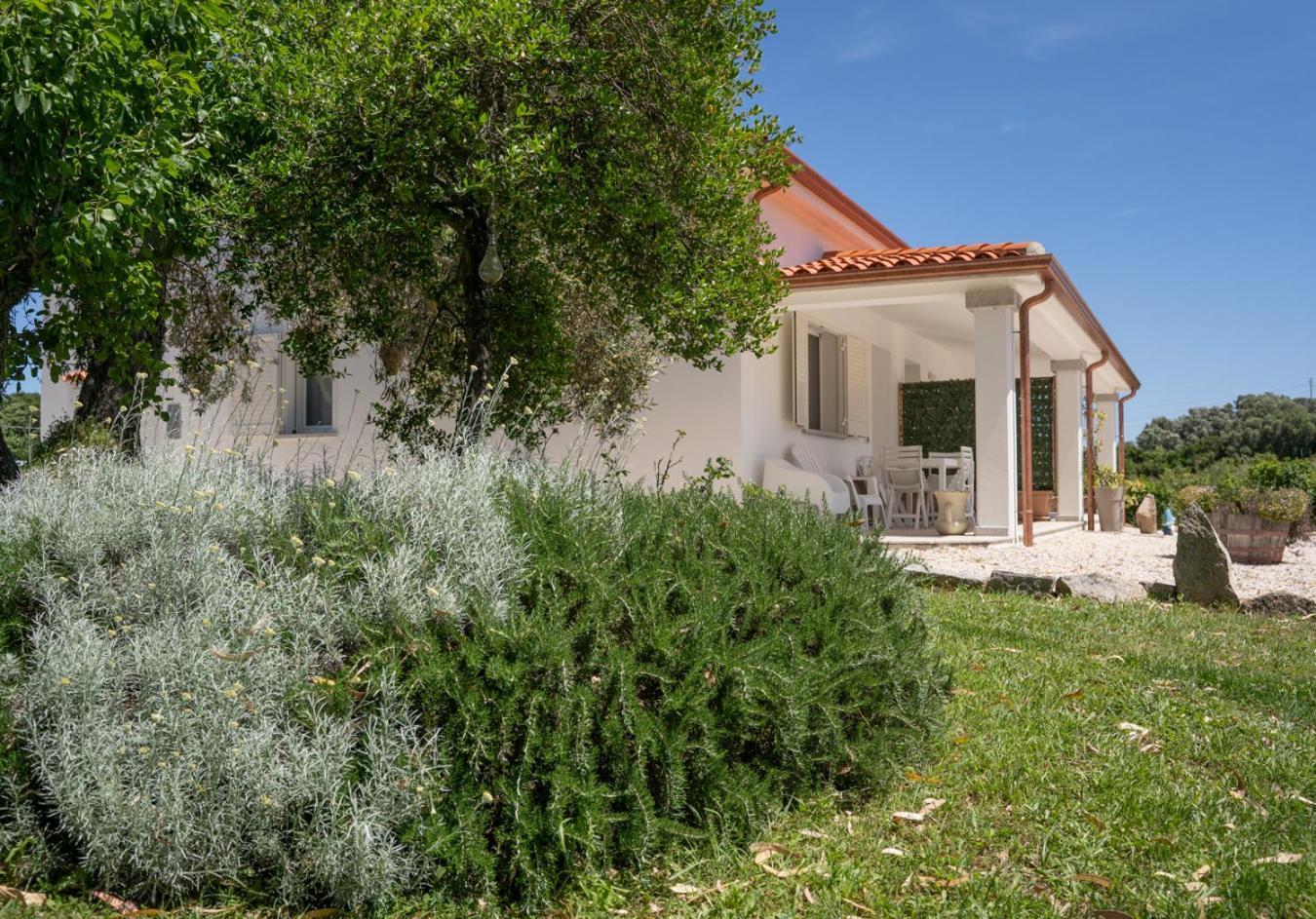 Casa Vacanze Olbia - Alebea - ภายนอก รูปภาพ